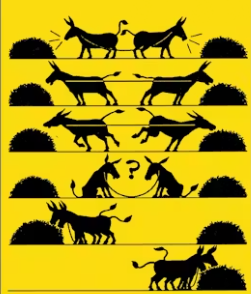 Display 1: Behavior visibility