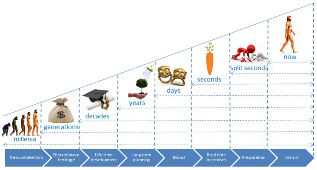 Display 2: Historic origins of behavior
