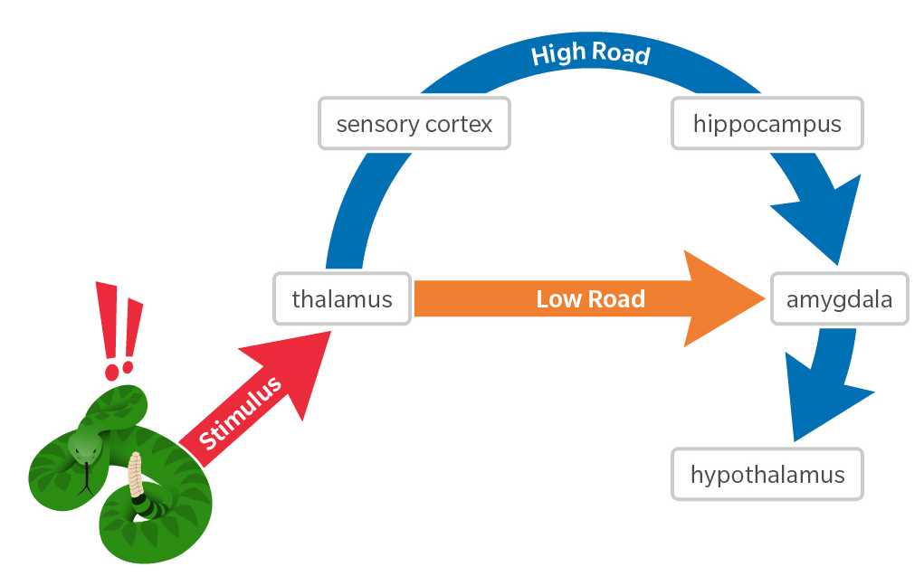 Display 2: Low road versus high road response