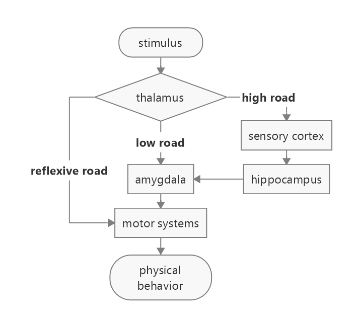 Display 3: Schematic overview of the three response pathways