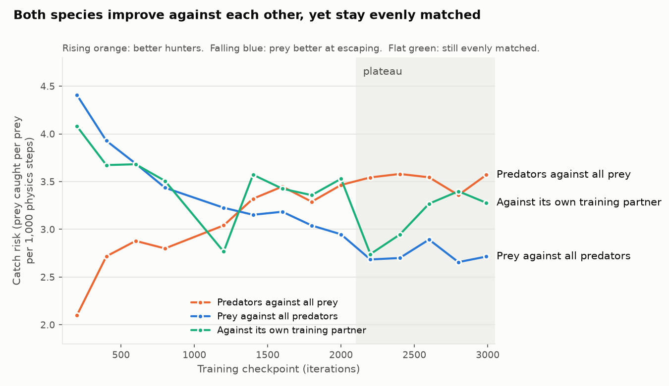 Display 9: Line chart over 3,000 training iterations: predators' catch risk against all prey rises from 2.1 to about 3.5, prey's catch risk against all predators falls from 4.4 to about 2.7, and each checkpoint against its own training partner stays around 3 to 4; after about 2,200 iterations all three level off